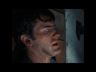 evil dead (1981)